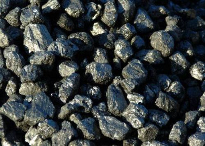 Ukraine decided to refuse of Russian coal