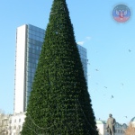 Utility services of Donetsk finished the installation of the main construction of the New-Year Tree