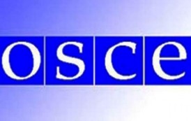 OSCE mission was not interested in sequences of shelling of the LPR