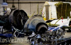 Entre los restos del “Boeing 777”, abatido cerca de Donetsk, fue encontrado el núcleo de un misil aire-aire Molniya R-60 (VIDEO + FOTOS)
