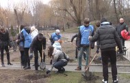 Clean parks in Donetsk 2015