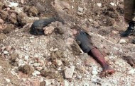Ciała rozstrzelanych odkrywane w Donbasie