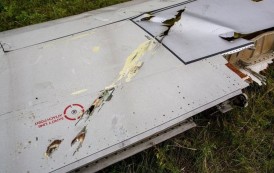 Эксперты: Boeing рейса MH-17 был сбит ракетой «Бука»