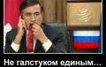 Саакашвили пожаловался на плохое питание и «мизерную» зарплату