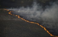 Dry grass on fire in Chernobyl exclusion zone