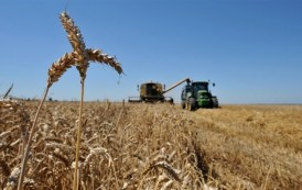 Brazil confirms intention to increase purchases of grain and fish from Russia