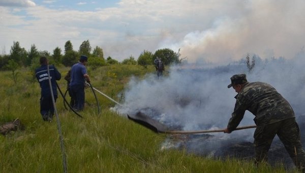 ГСЧС Украины: причиной пожара в зоне ЧАЭС мог стать поджог
