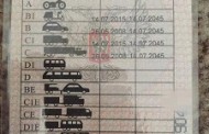 Первые выпускники автошкол ДНР получат постоянные водительские удостоверения 12 сентября