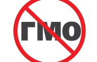 Россия прекращает производство продуктов с ГМО