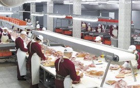 Meat factory in Gorlovka restarts working this week