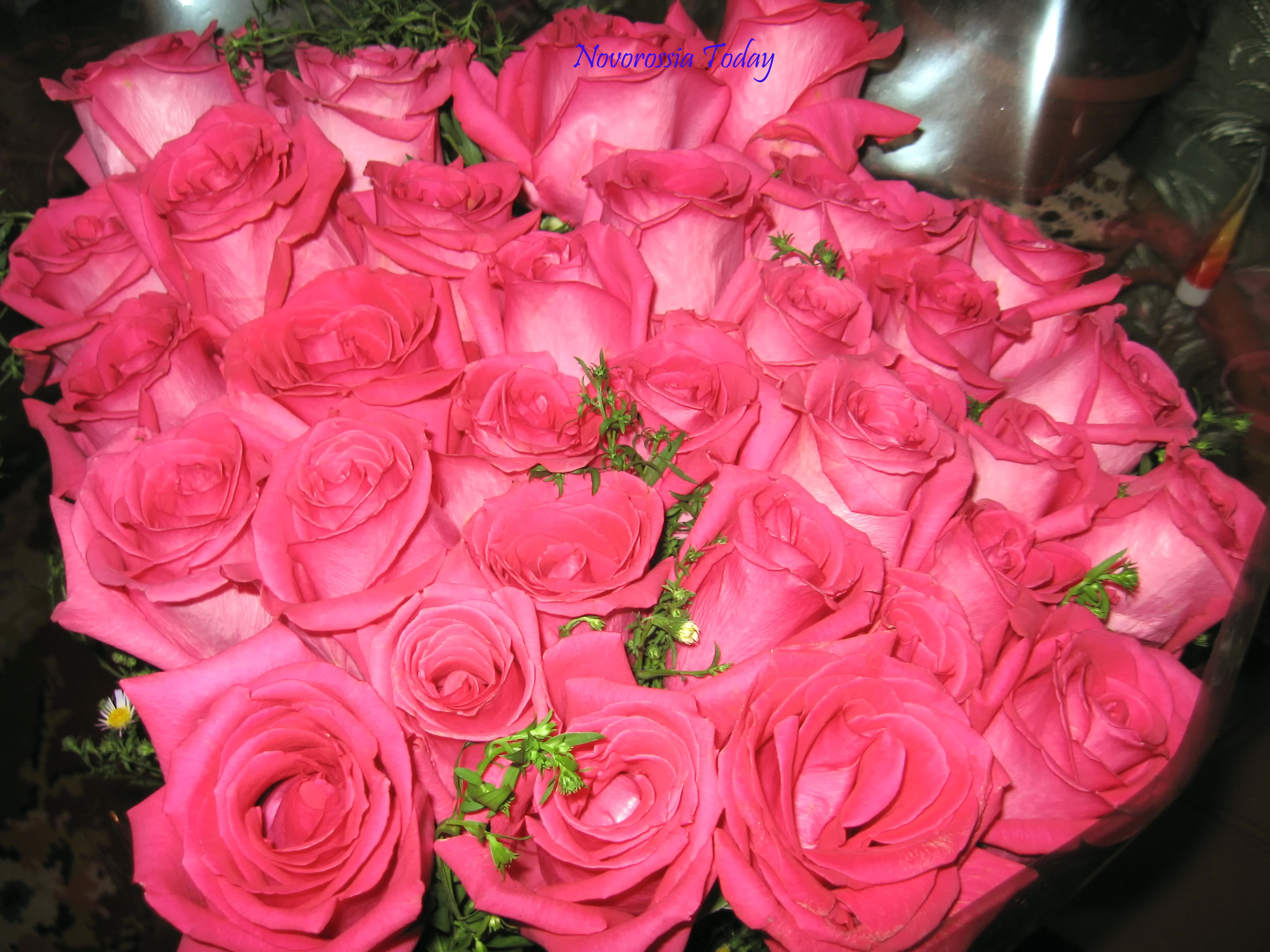 We congratulate teachers with their professional holiday!