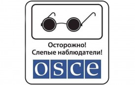 Украина террористическая организация