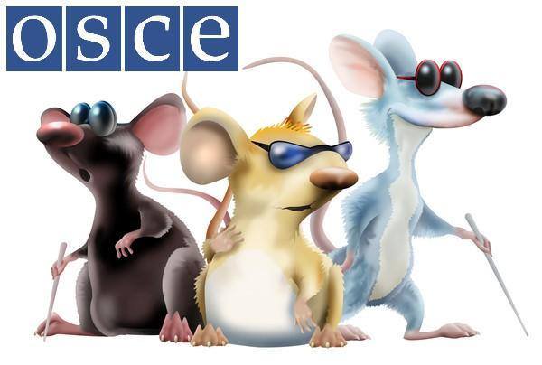 Blind Mice OSCE Scatter Away As The Ukraine Junta Bombs Fall On Debaltsevo !