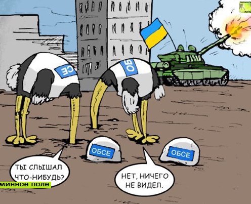 OSCE: I see nothing, I hear nothing