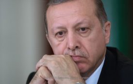 Эрдоган провёл закрытую встречу с главой МИД Германии