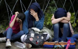 Чехия отказалась подчиняться ЕС и не станет принимать беженцев по принятым квотам